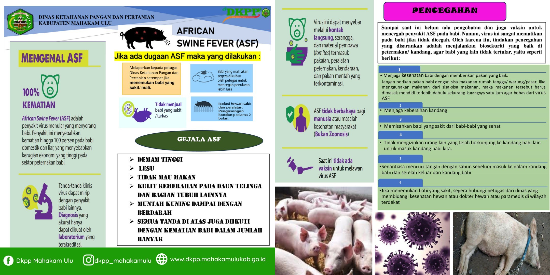 Pencegahan Virus ASF